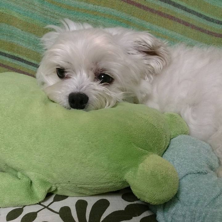 5f8b4a73 7c72 4a52 b94c ed973556ee3b 1527168497952