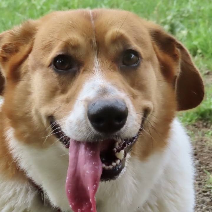 5f8b51ff 4d2c 4793 809b 489aa524b7c6 1692410910521