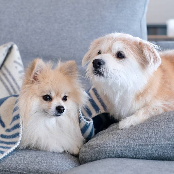 5f8b7536 4c9c 4edf ba1c e48011235821 1771367083923