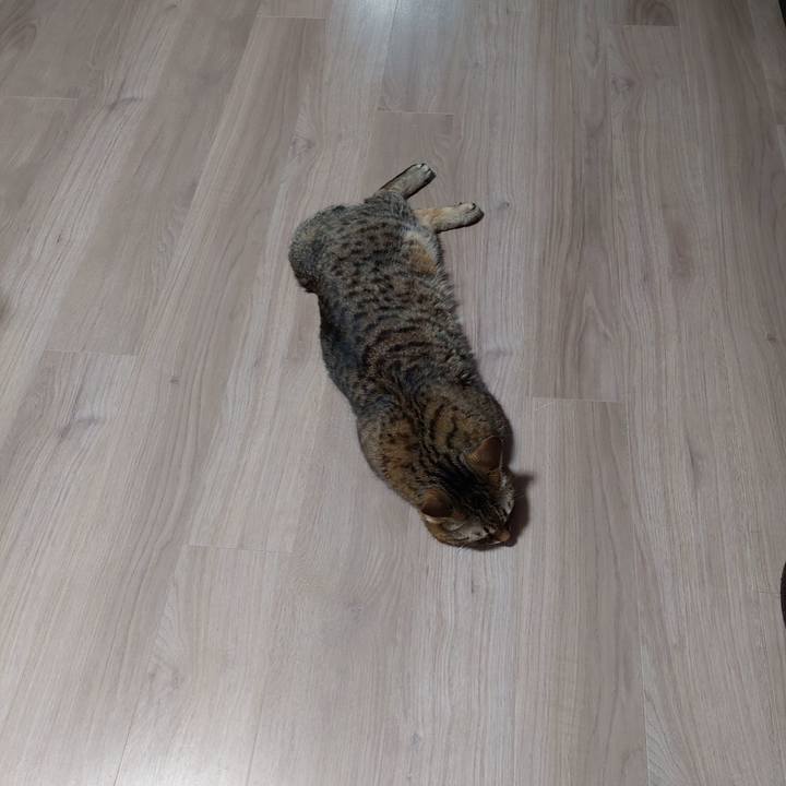 5f8b9785 9b6c 4eef 8a43 453fc2f30d67 1643751575581