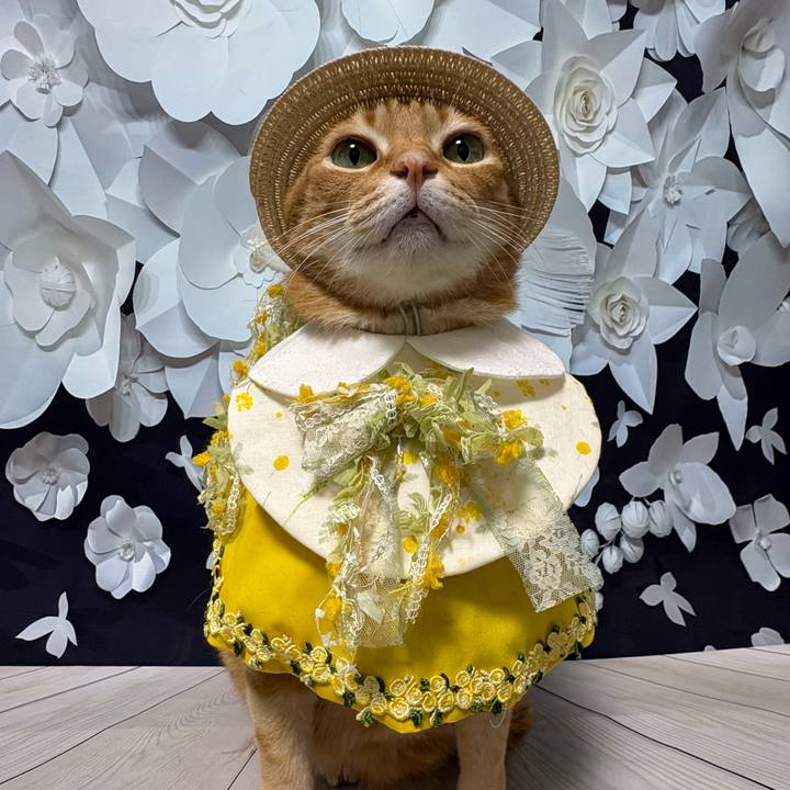 5f8b9df5 ef14 44ac 9ff1 41730fd7529d 1769910435680