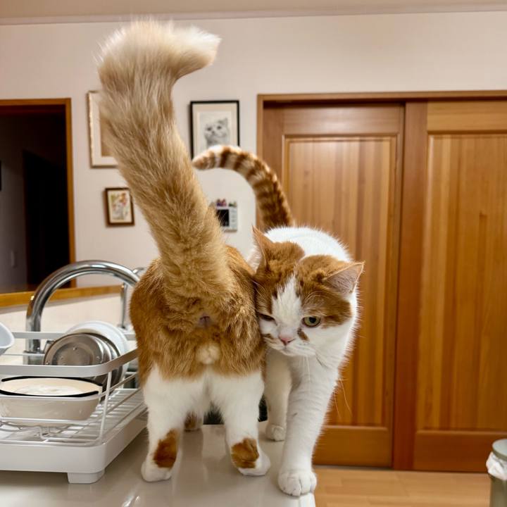 5f8bb117 b86d 4a56 8851 50fbcd0994f5 1773111355794