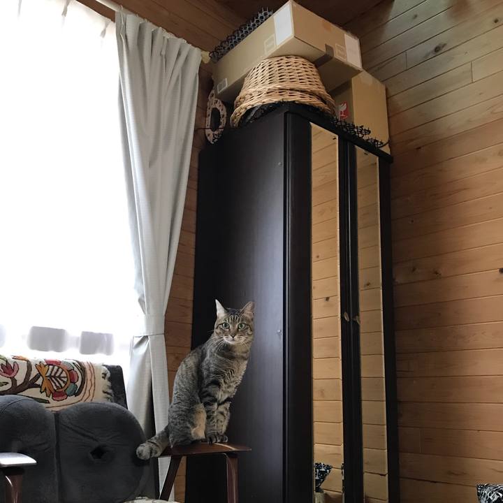 5f8c25f3 35ca 47d9 8bd8 a61043d80c25 1527312152018