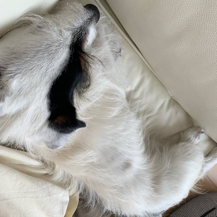 5f8c3dde b590 4a95 bf8c a8ca006cc8ae 1687752998957