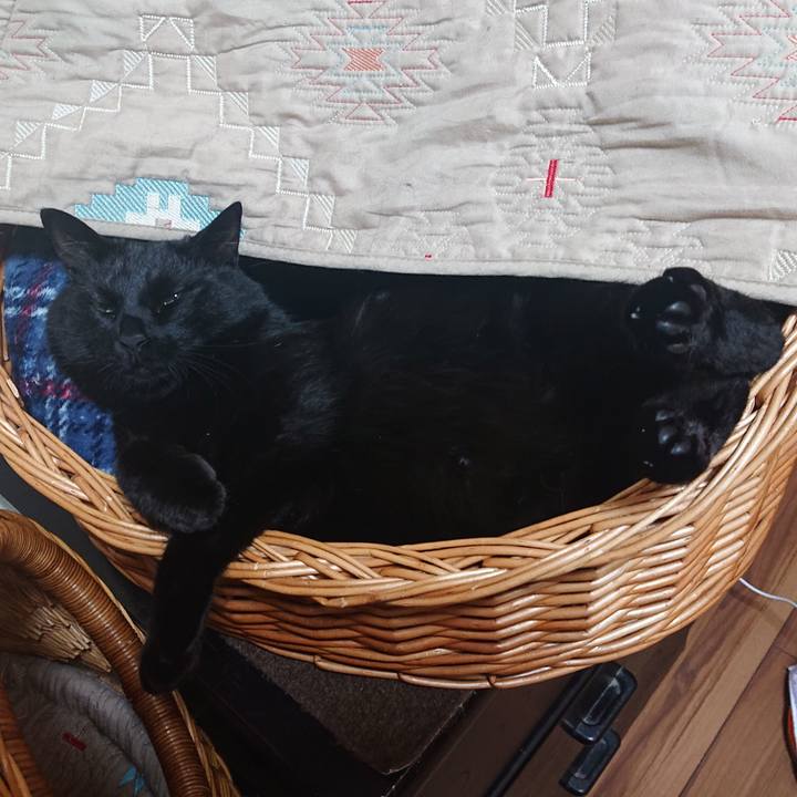 5f8c4d42 b695 471b 8a99 0e73bae430b4 1622678180720