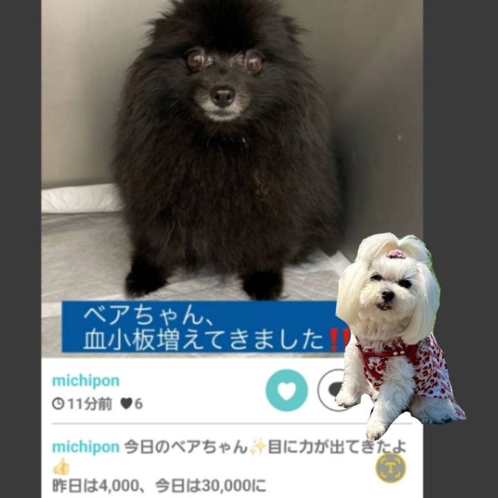 5f8cebe7 9083 4ef7 b427 f31e6a6a7ff6 1720677499791