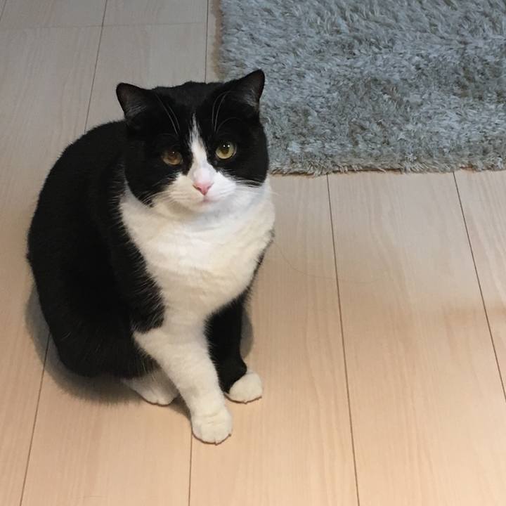 5f8d2889 9714 466c 98f8 36a80d0be36e 1546902023240