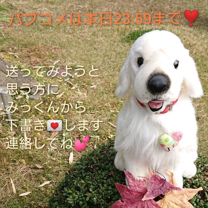 5f8d4f71 df54 4d36 9c4f 34b5aa714260 1605583619426