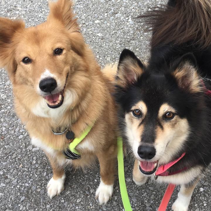 5f8d6be4 bddf 447b 977b fd3f80f59420 1534570123045