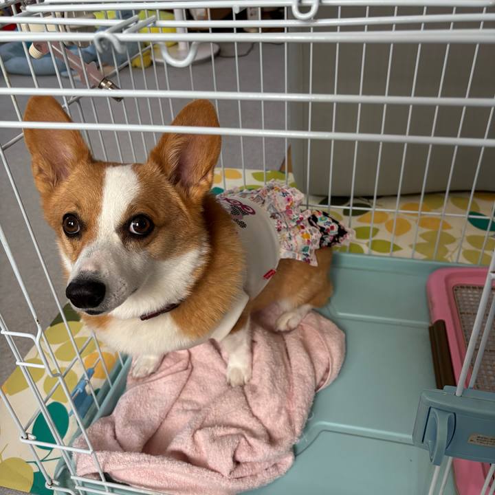 5f8d7885 0b8e 4242 8d34 36653d449bde 1759706857812