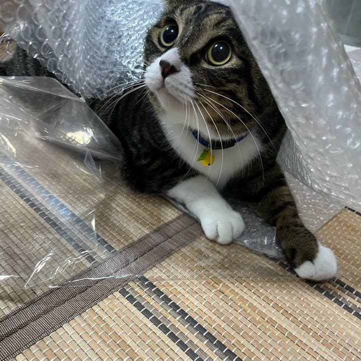 5f8d922b 6802 4612 9c68 3549c07676b3 1760139726609