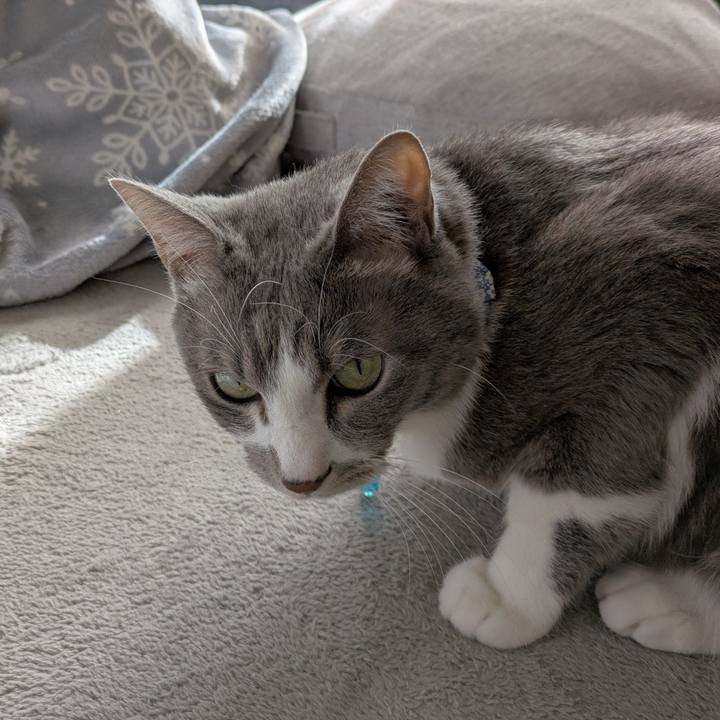 5f8dc2c2 afe6 42a8 890d 51e37129d30a 1735792939743