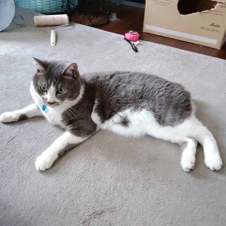 5f8dd14a 30d4 480e 9b45 2b5b0982b8bc 1715475307588