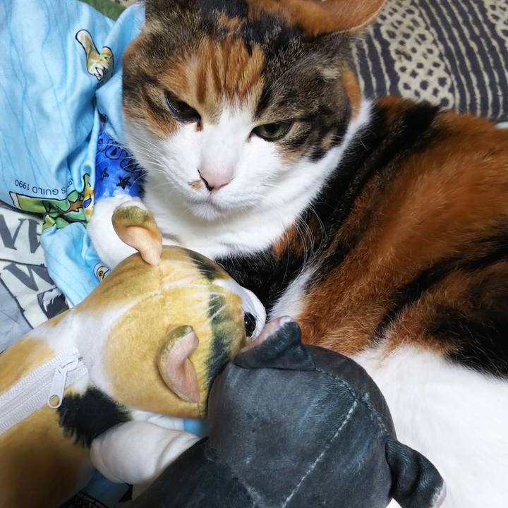 5f8e3540 080b 44e5 ae95 a66d12ea0e90 1585735932194