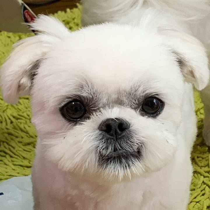 5f8e435e d97c 4bfa a60d 7649af611be1 1649243939212