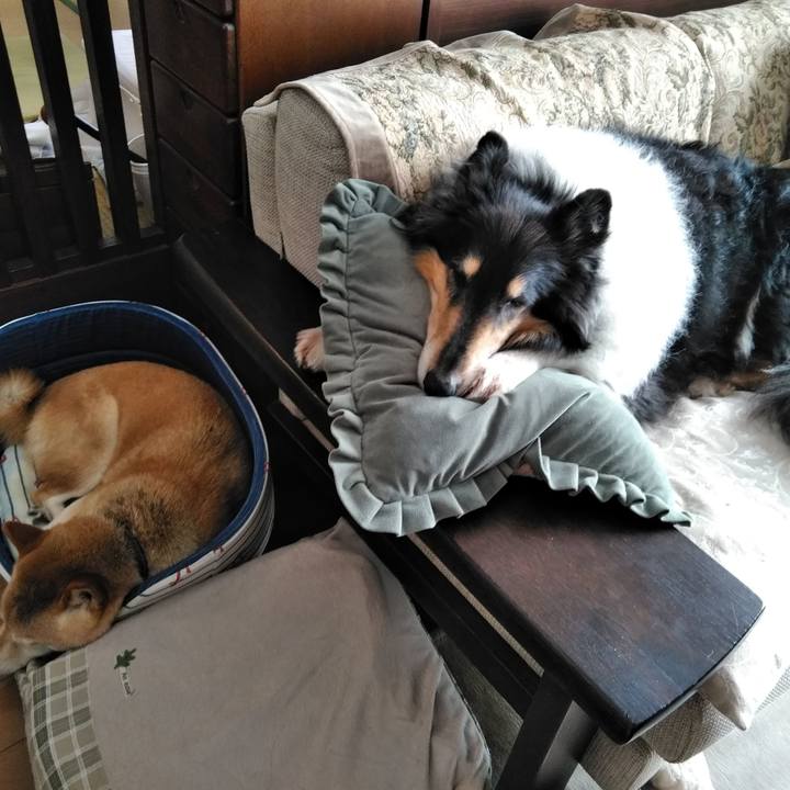 5f8e5c7b e92c 4505 920c 97463f80bba7 1546169893219