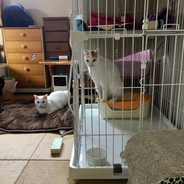 5f8e8e5b 2f96 4b15 a9cd b1991baf1e73 1519805716075