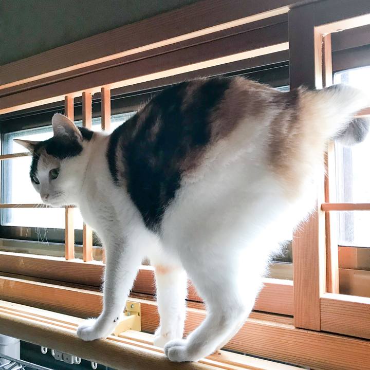 5f8e9c7b 665b 4f55 ae38 f1ef471ee0b7 1522074188897