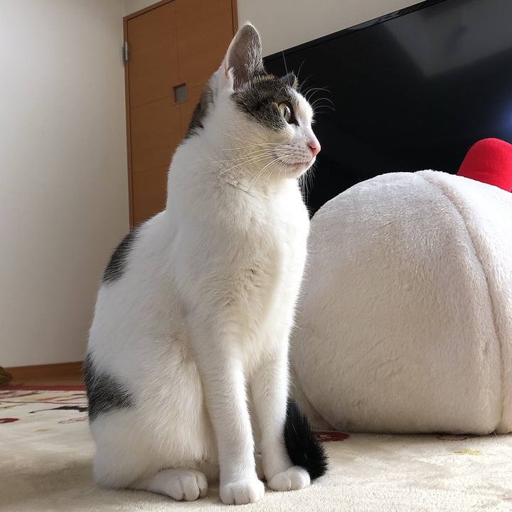 5f8edf73 44a5 46ae 8d7d 268902ca801a 1671064509132