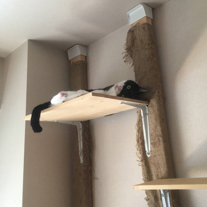 5f8f14ed fa46 484f 9464 9d2a475cd7c4 1589685021561