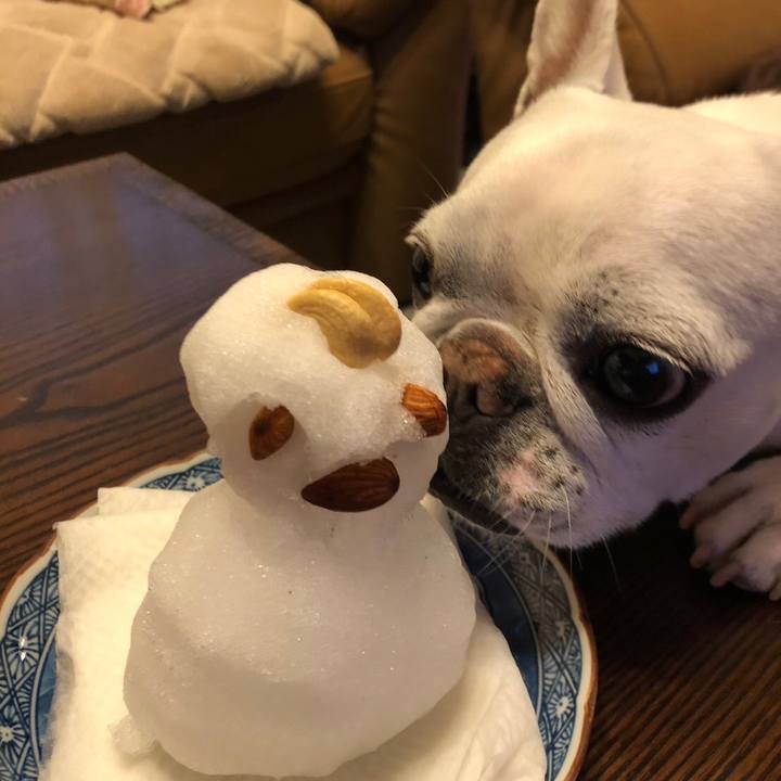 5f8f229c 4940 4dfa 9063 c3257b5ef0c7 1676030961335