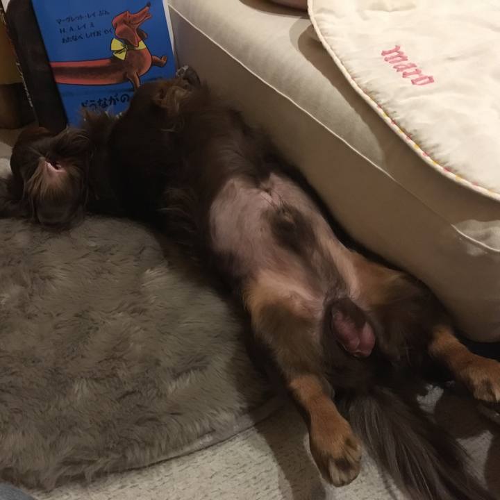 5f8f42cd b07b 4ee2 abec efc5cd39ba0a 1510748961597