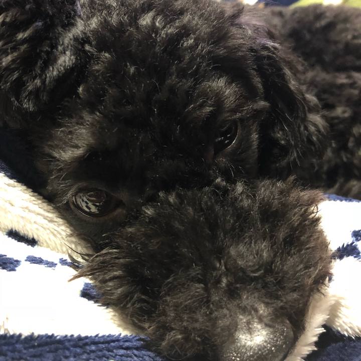 5f8f6e47 45f9 472d b758 b9dc070ab5d2 1521987222259