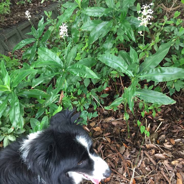 5f8f6e98 5d88 439b 8baf 95db55f61e0b 1564468936585