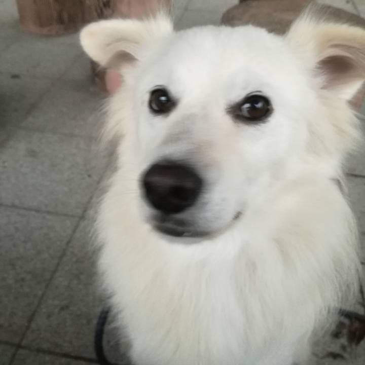 5f8f829a a1bd 4cee 9134 74de85dc7b56 1508403990922