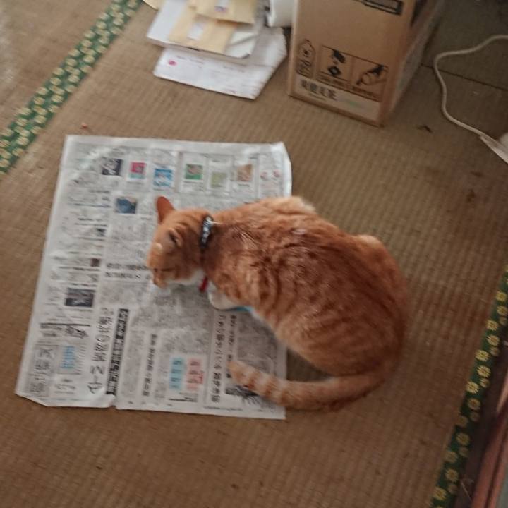 5f8fa54b e0c5 4d42 bc47 2b9c64584428 1572822037893