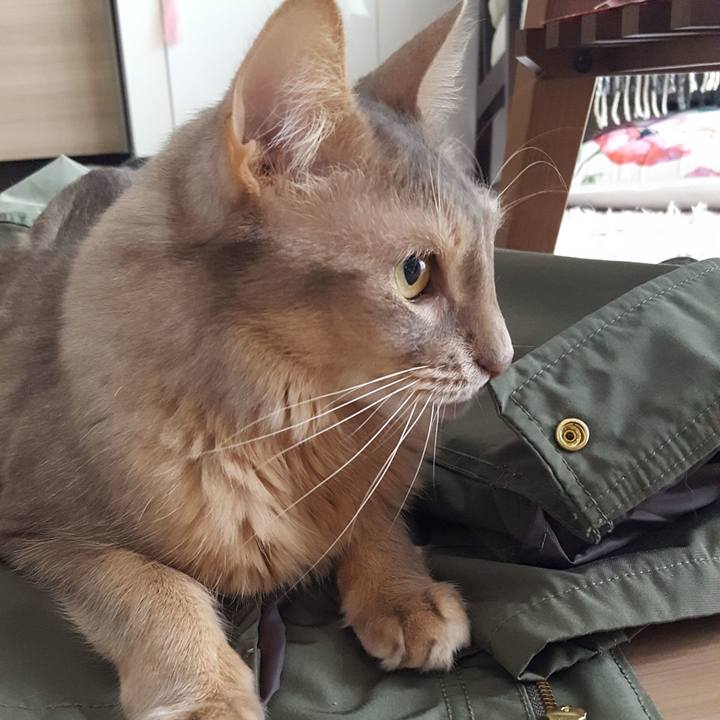 5f8faec3 6f95 4ec6 a09d 754e218d515b 1585362690513