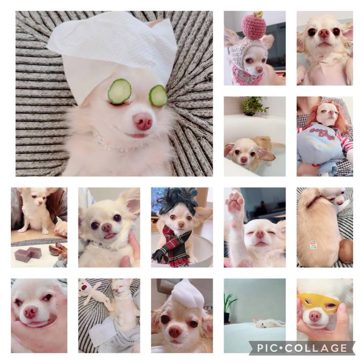 5f8fb58f 7b82 4aae 8c51 642916d0da4b 1697449161901