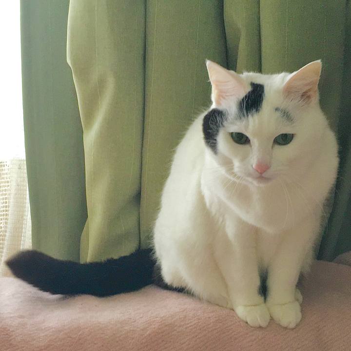 5f8fcd02 3eaf 483e 9642 aaaffddf0eef 1612770522822