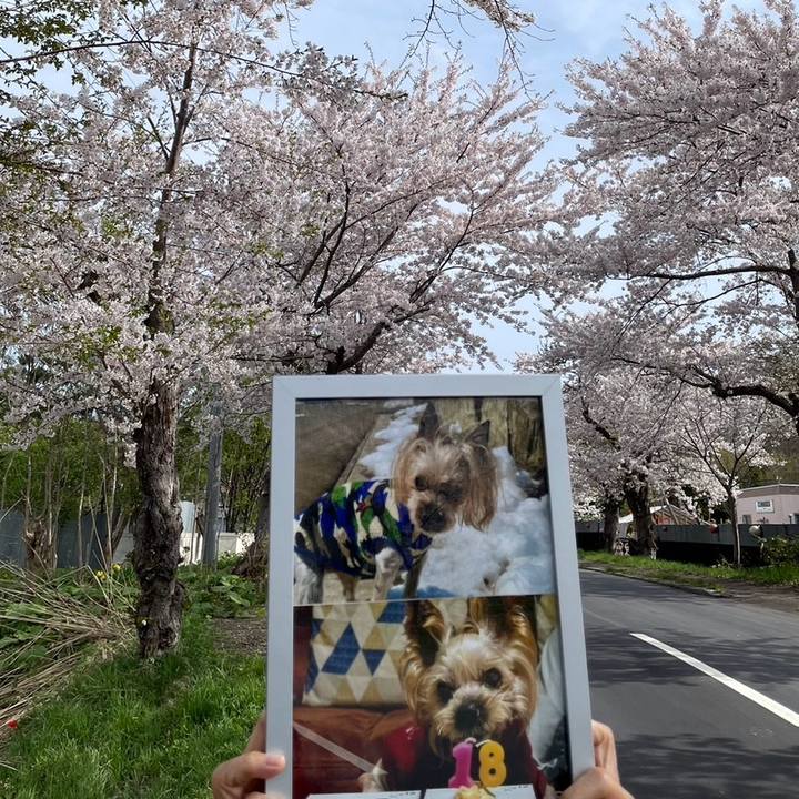 5f8ff7ec 79cb 43d5 b682 973887fff532 1746612834771