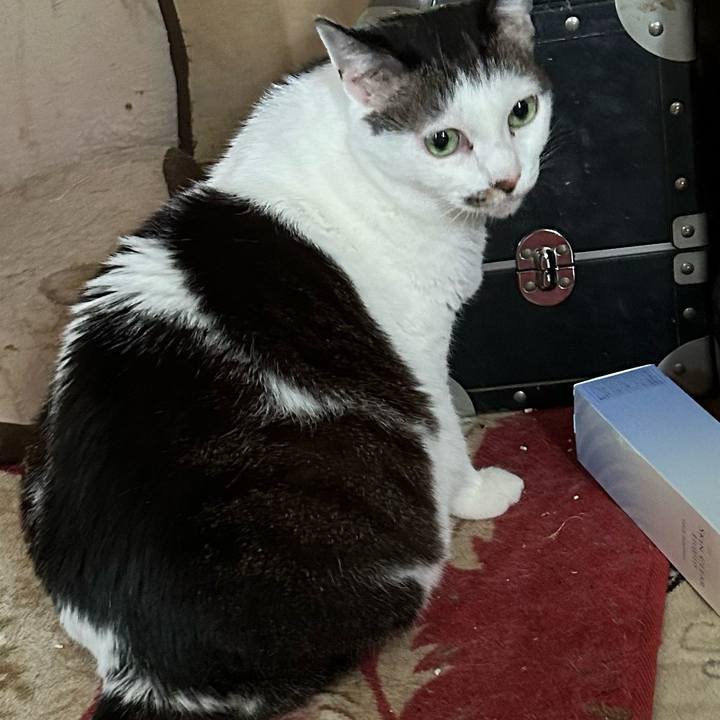 5f901cca 601f 4047 84bf e5dda4a0ba93 1761454445514