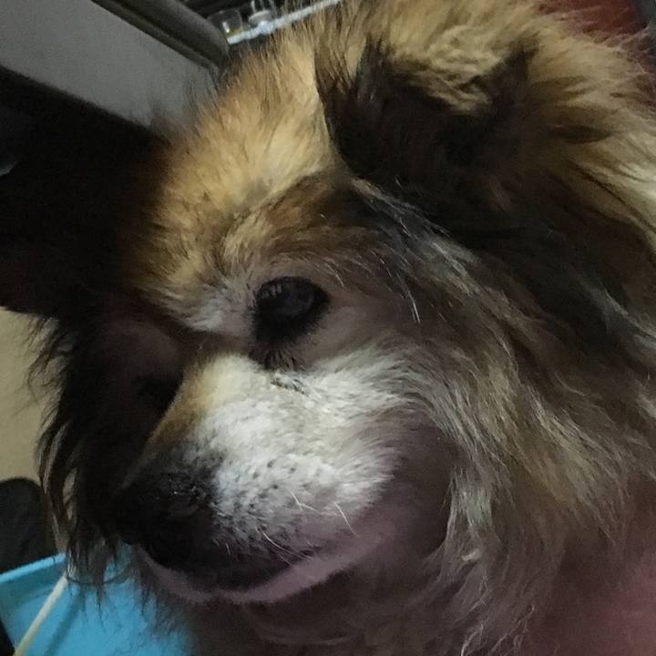 5f90587b a591 449c b9e3 6aabcfd841c3 1600677333682