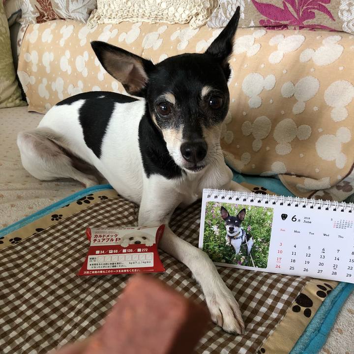 5f90710d e1ac 44c9 abd2 71c56f4109dc 1527810317436