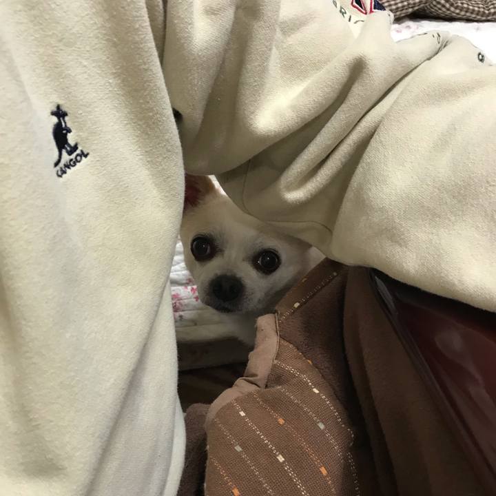 5f908465 8953 48a5 892b 4c1721add66c 1544710879903