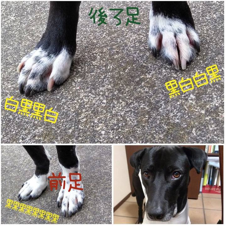 5f90b48b b1e5 453e be4a c5d689c7494d 1620827445866