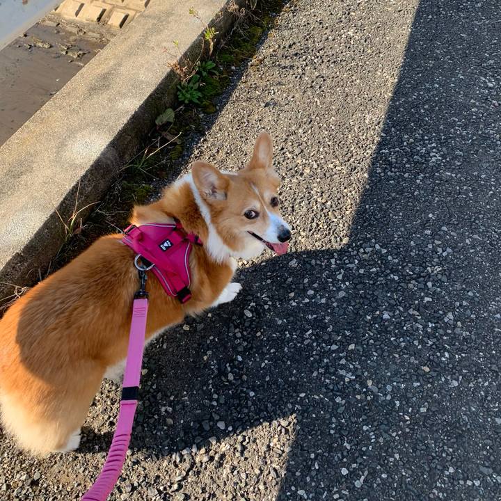 5f90bcac a95d 4424 bf62 65247f64450e 1700788546824