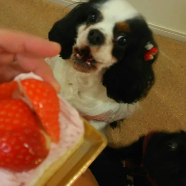 5f90db0b 0c5a 43b9 bb2c 6925dcf6ecc0 1514983249201