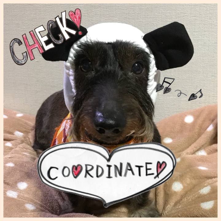 5f90f49e 9a67 42a6 93aa 2cd2409c0233 1510927230399