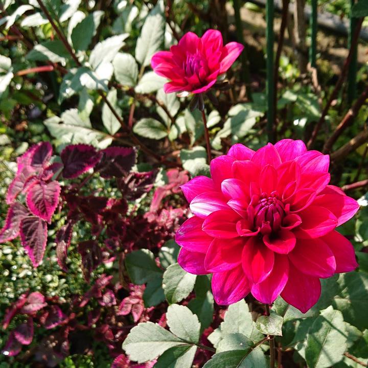 5f910cc0 f182 4007 b73a 02f0c9500d69 1603074686827