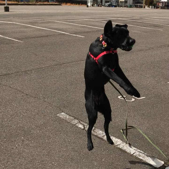 5f910d5d 9e1b 49ef 9299 12ca6bd54521 1517703935221