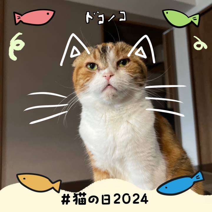 5f912db0 45ec 4746 a8f8 4212eee18be3 1708568302588