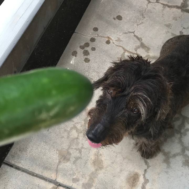 5f91963b 68c5 4b54 908f eeb87334bec6 1538796023966