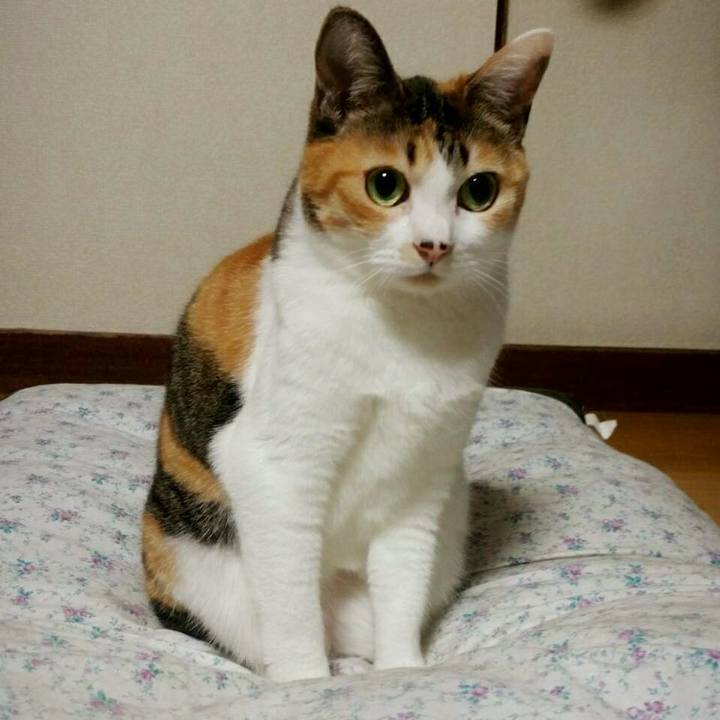 5f91a81e 1ae1 4fdc 942a 7d0df15281d8 1513856208516