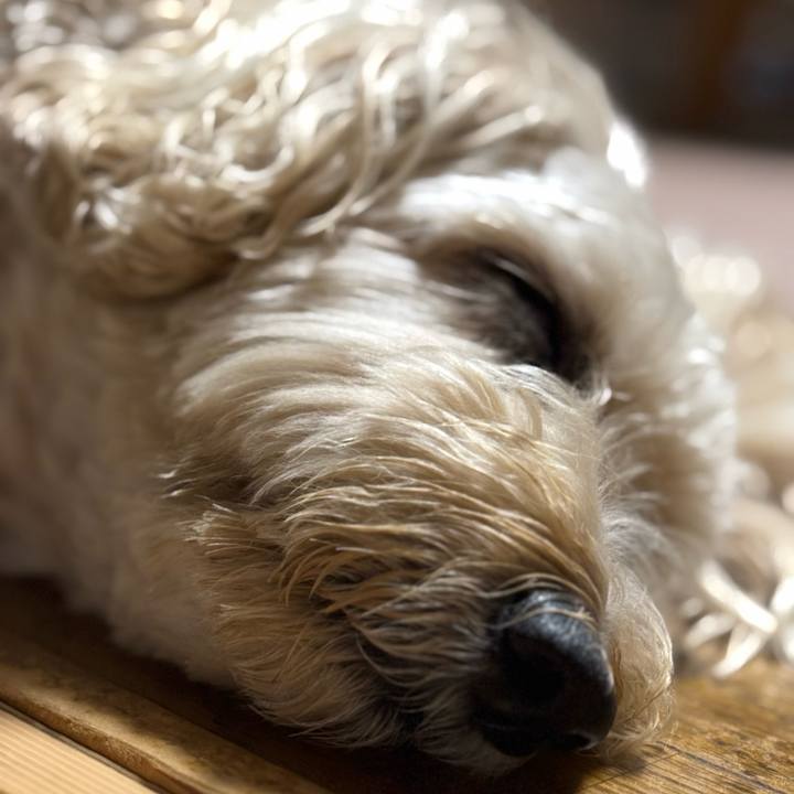 5f921f51 4ea7 456d 8ea5 41a421fc1054 1760274445724