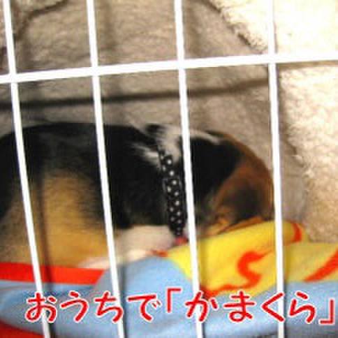 5f92223c 2390 49ad b07e f5a8aa202a9f 1678666601731