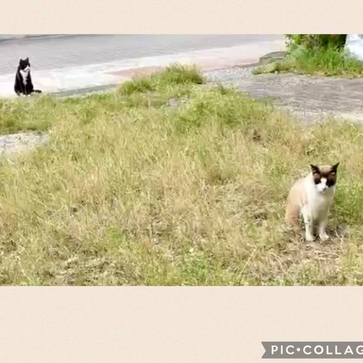 5f922b0c 90de 4f33 aeeb 96f1fac5387d 1744545165324